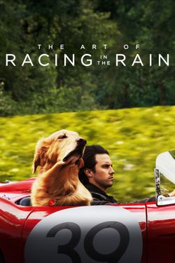 The Art of Racing in the Rain