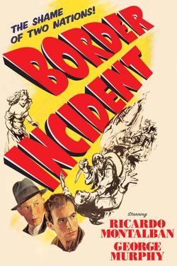 Border Incident