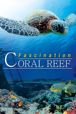 Fascination Coral Reef