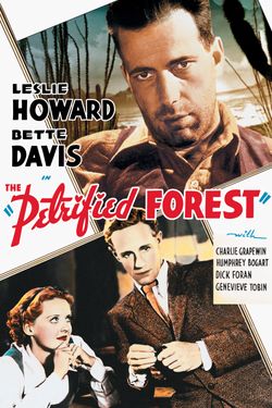 The Petrified Forest