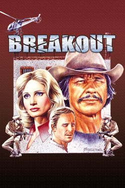 Breakout (1975)