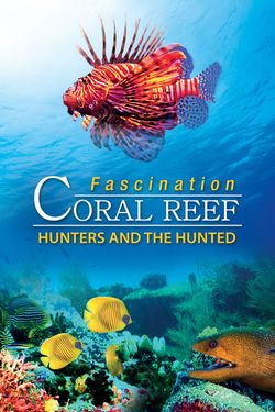 Fascination Coral Reef: Hunters & The Hunted