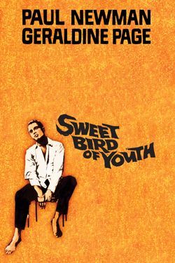 Sweet Bird of Youth