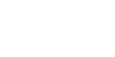 Freedom Fighters: The Ray