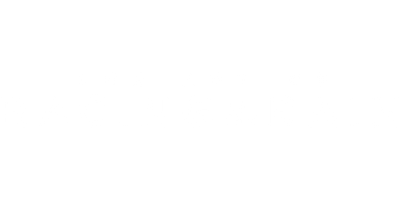 The Art of Racing in the Rain