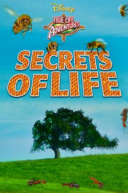 Secrets of Life