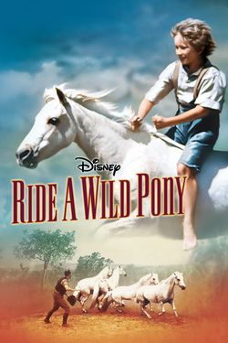 Ride a Wild Pony