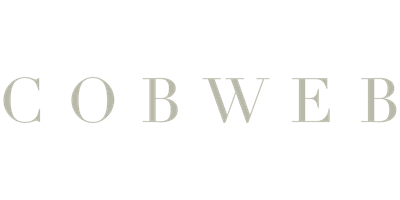 Cobweb