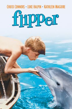Flipper