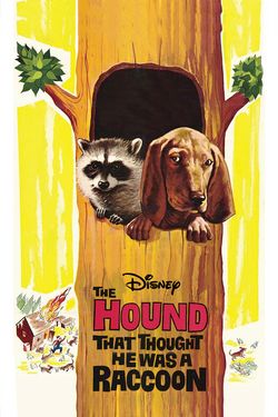 The Hound that Thought He Was a Raccoon
