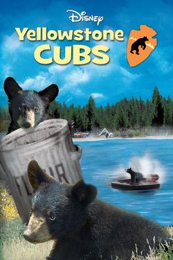 Yellowstone Cubs