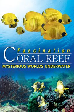 Fascination Coral Reef: Mysterious Worlds Underwater
