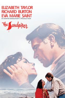 The Sandpiper