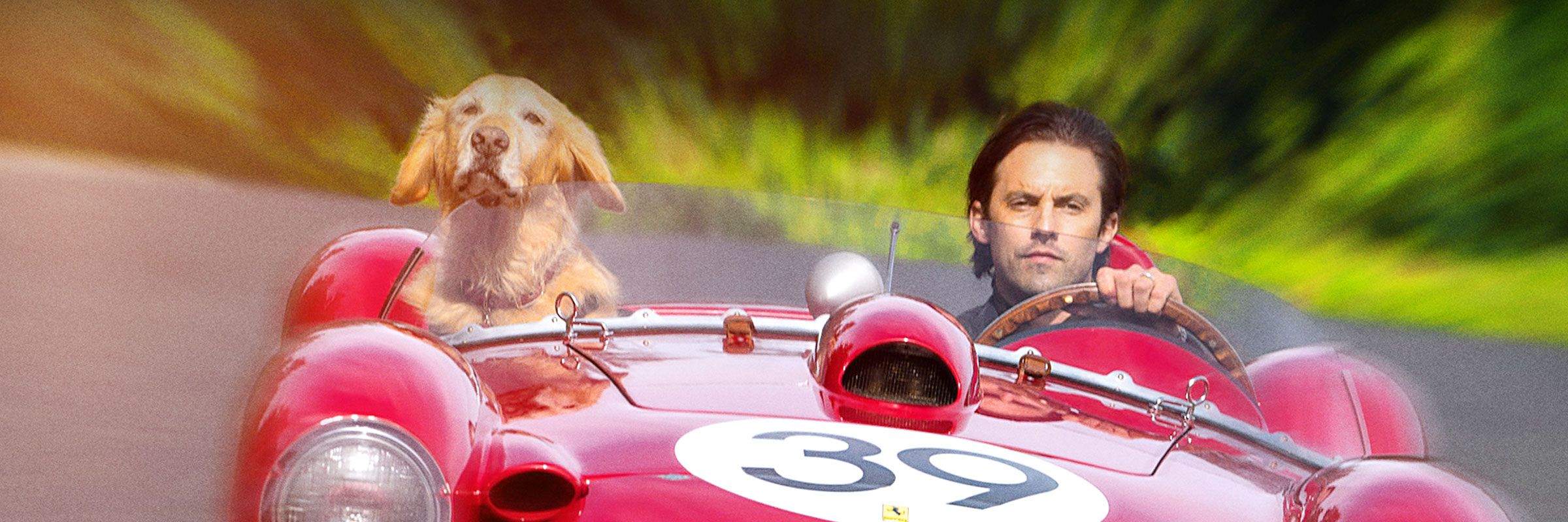 The Art of Racing in The Rain | Full Movie | Movies Anywhere