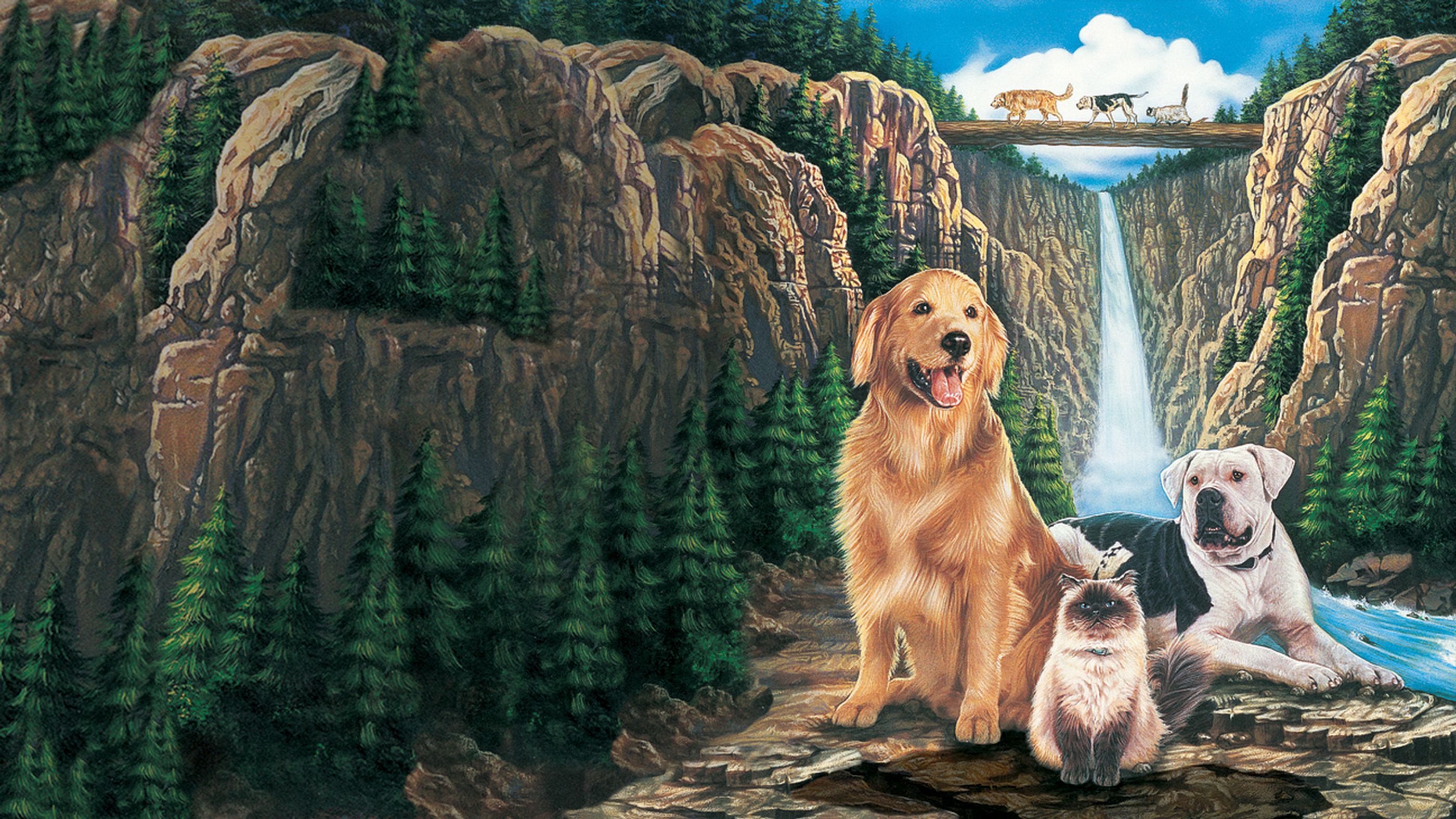 Homeward Bound: The Incredible Journey | Full Movie | Movies Anywhere