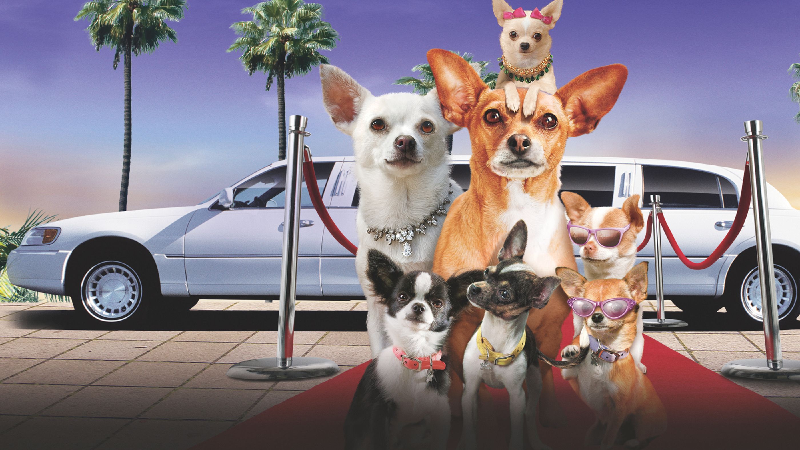 Beverly Hills Chihuahua 2 Full Movie Movies Anywhere