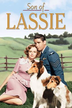 Courage of Lassie (1946) - Turner Classic Movies