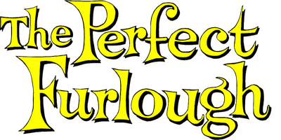The Perfect Furlough