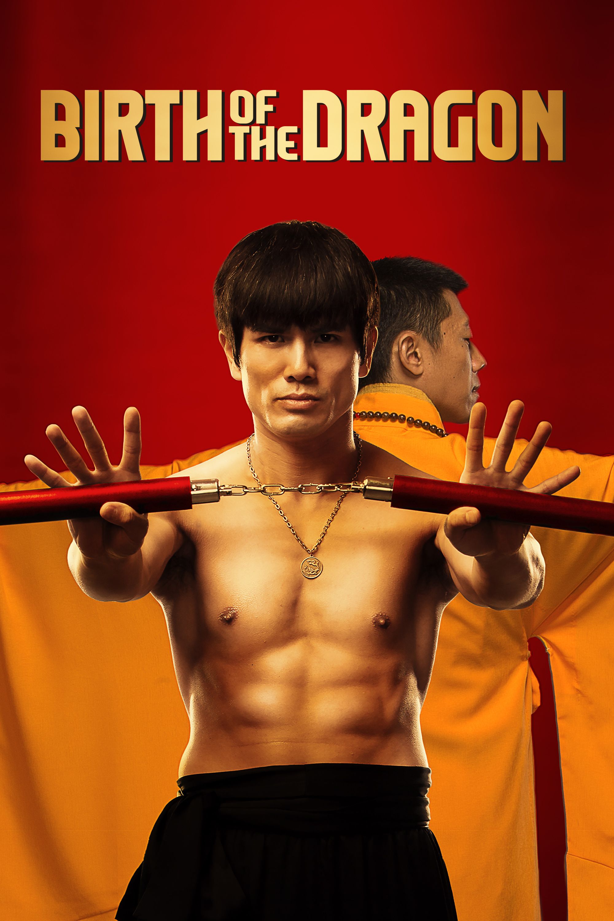 link to catalog: birth of the dragon dvd