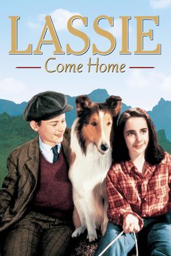 Courage of Lassie (1946) - Turner Classic Movies