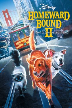 Homeward Bound II: Lost in San Francisco