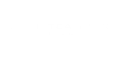 Seal Team Six: The Raid On Osama Bin Laden