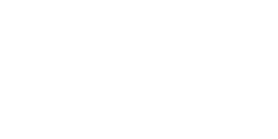 The Year of the Yao