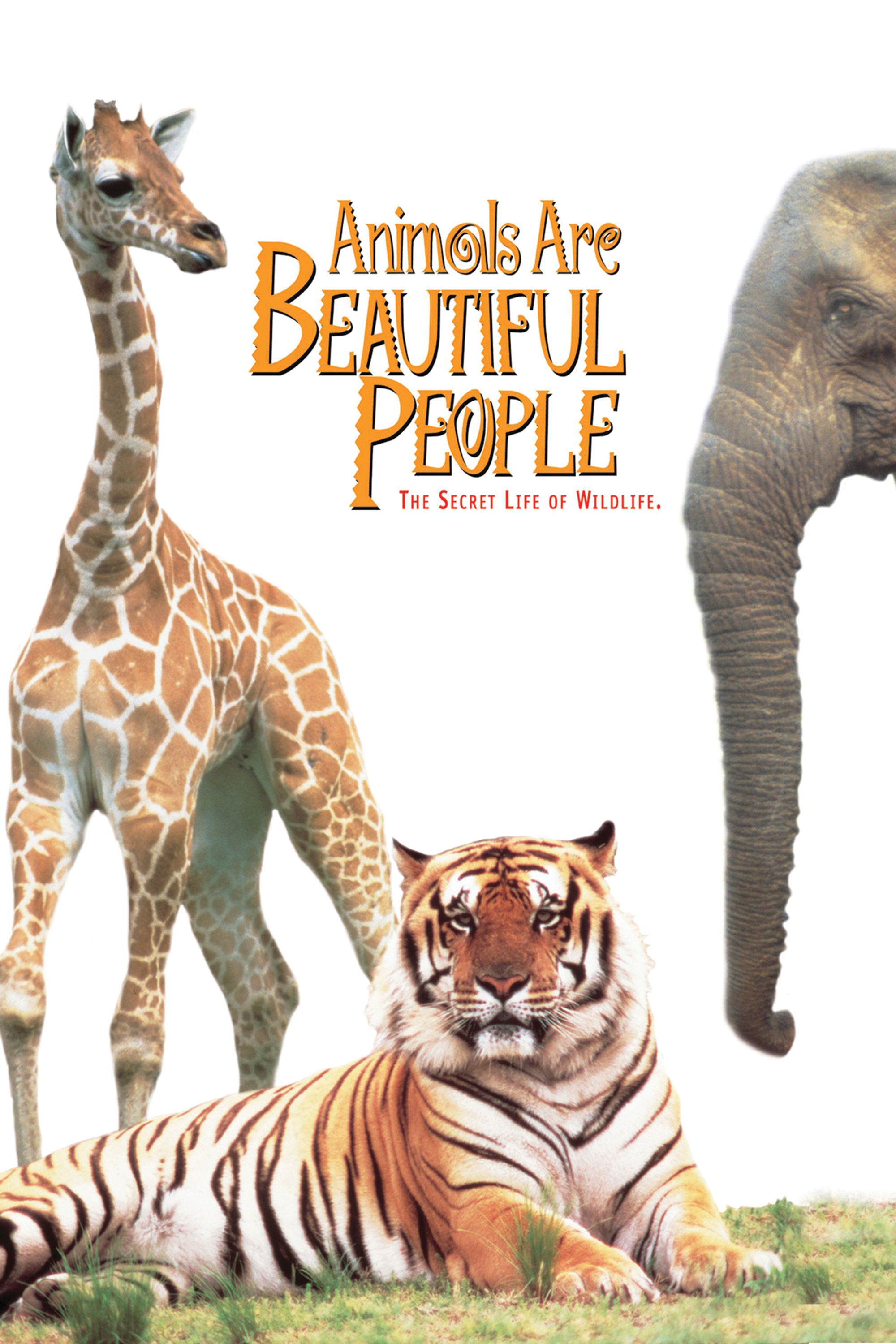 Animals are Beautiful People | Movies Anywhere