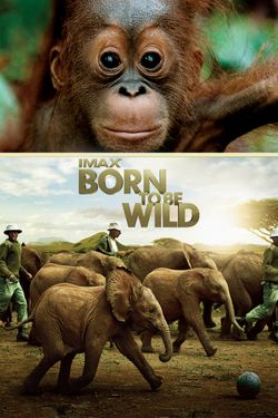 Animals are Beautiful People | Movies Anywhere