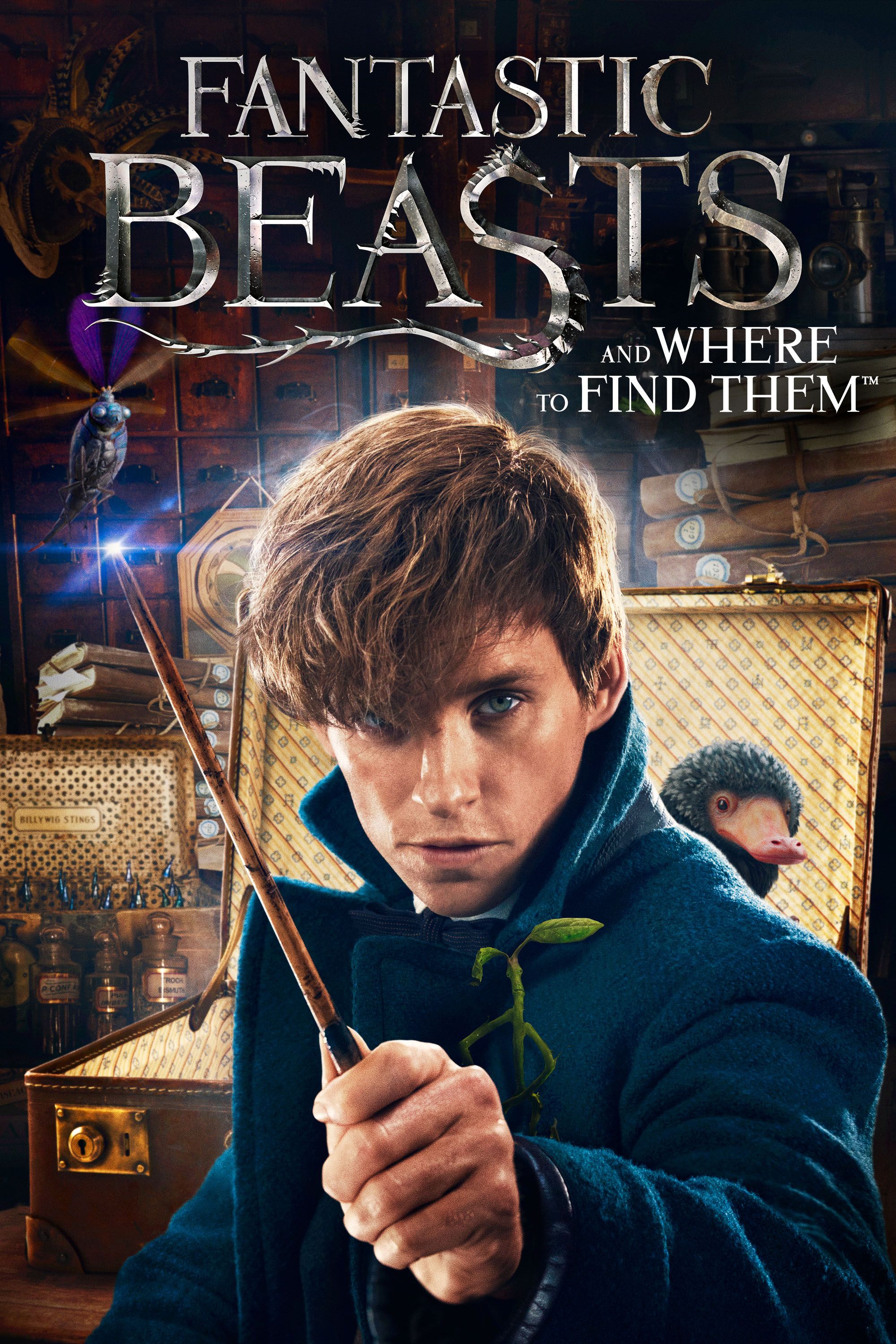 Fantastic Beasts and Where to Find Them Full Movie Movies Anywhere