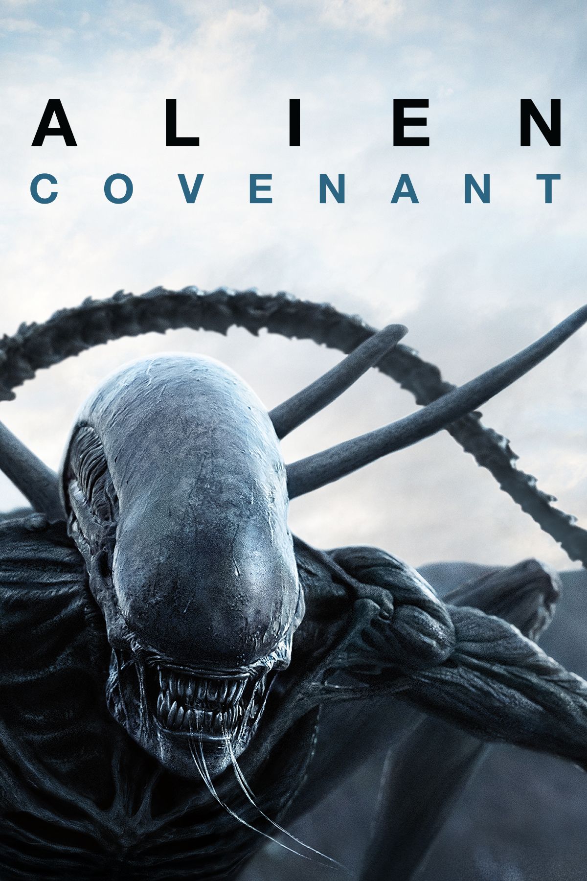 alien covenant movie download