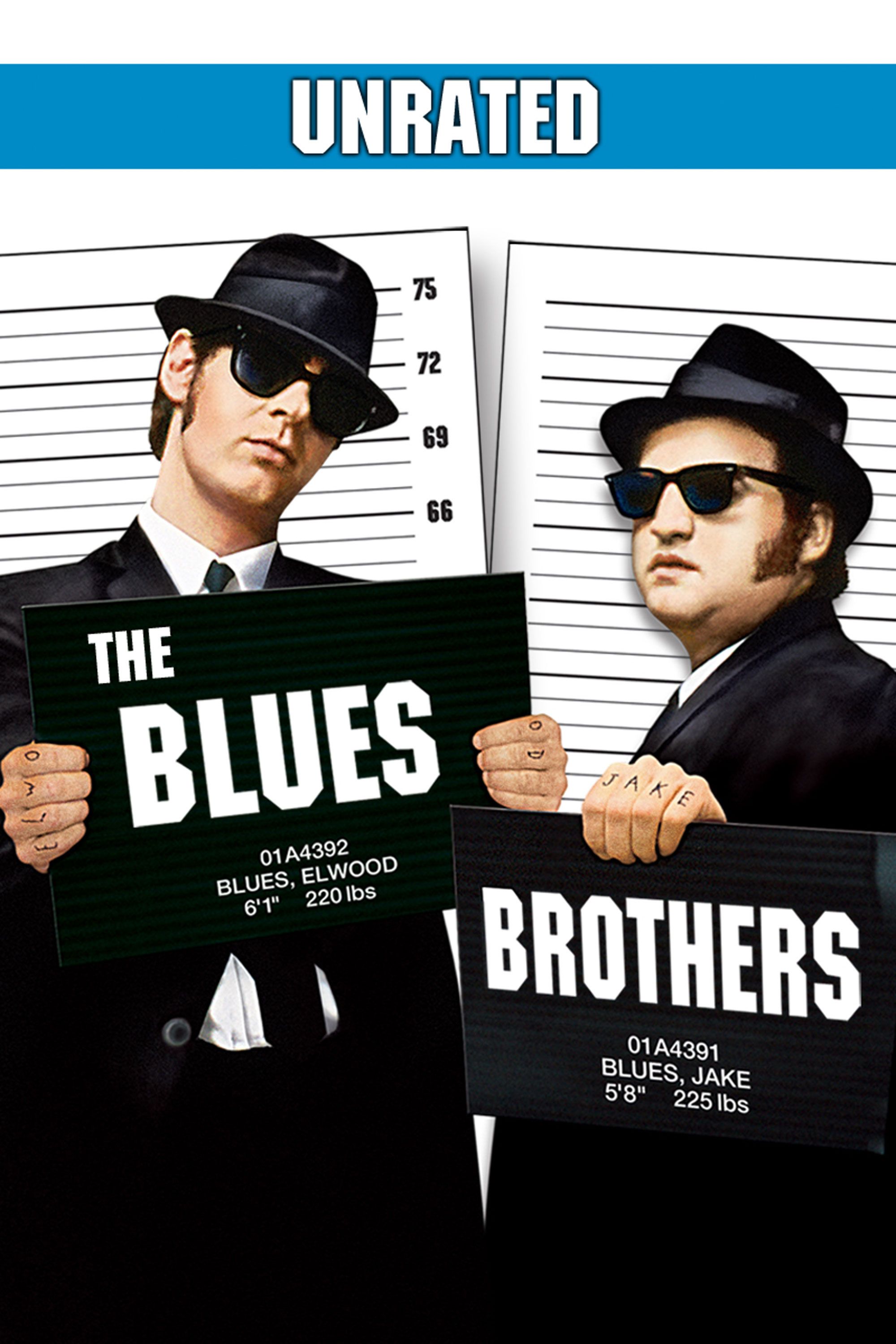 Freiluftkino Hasenheide: Blues Brothers (Extended Version)