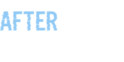 After Truth: Disinformation And The Cost Of Fake News