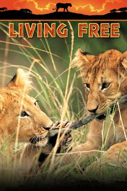 Animals are Beautiful People | Movies Anywhere Animals are Beautiful People | Movies Anywhere