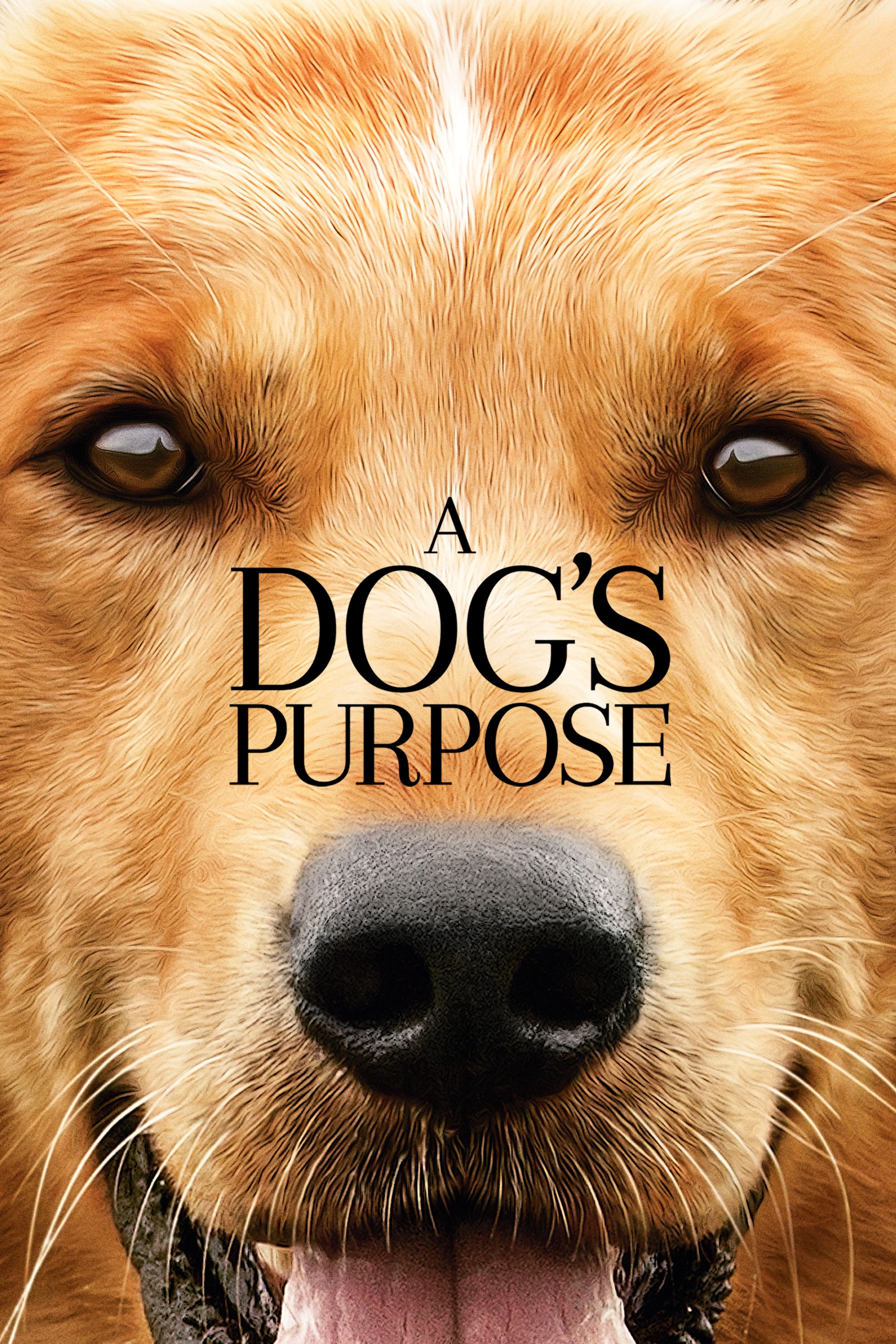 A Dog'S Purpose | Movies Anywhere