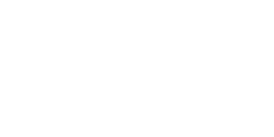 Shadow Force