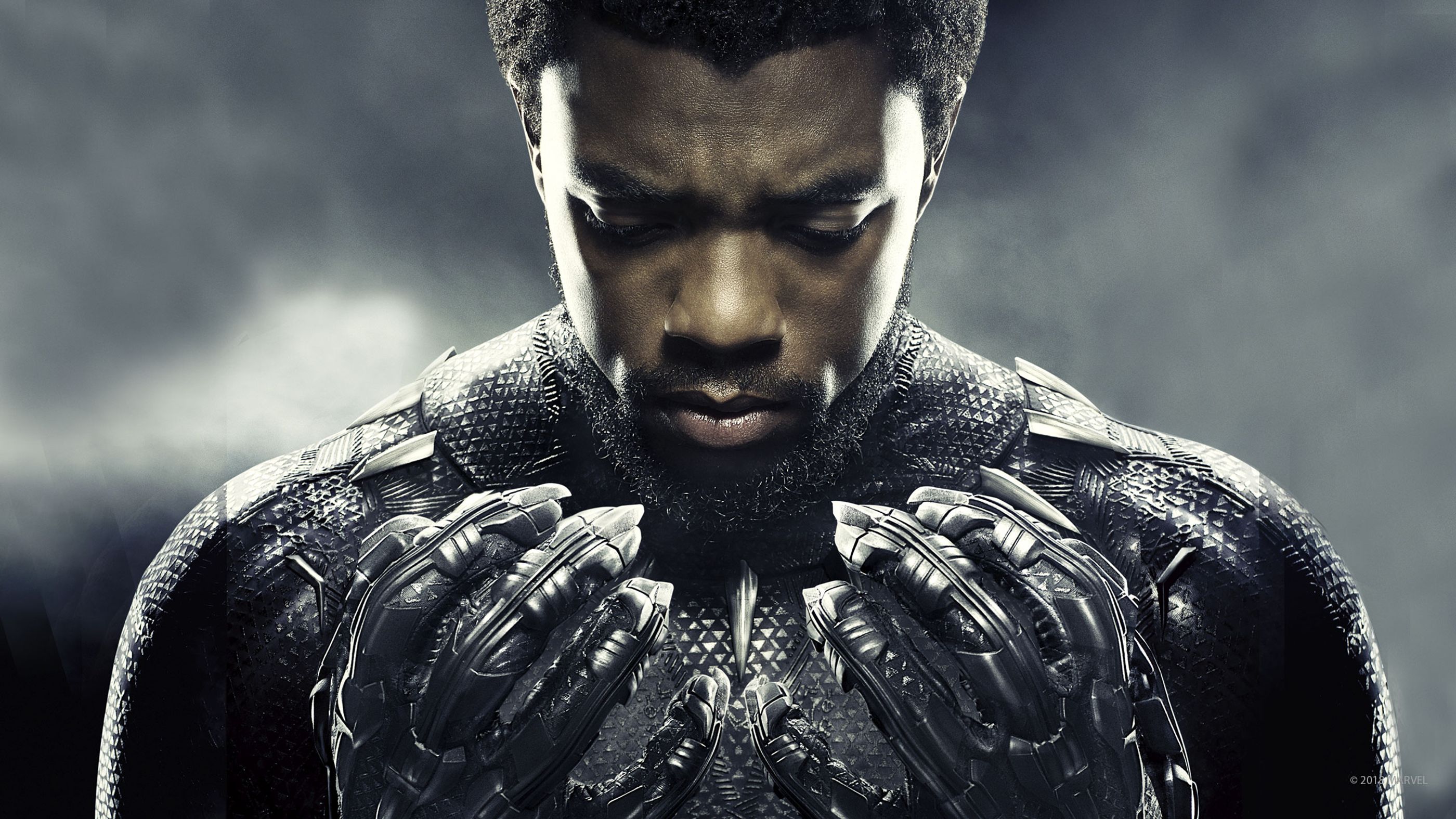 Black Panther (2018)  Full Movie  Movies Anywhere