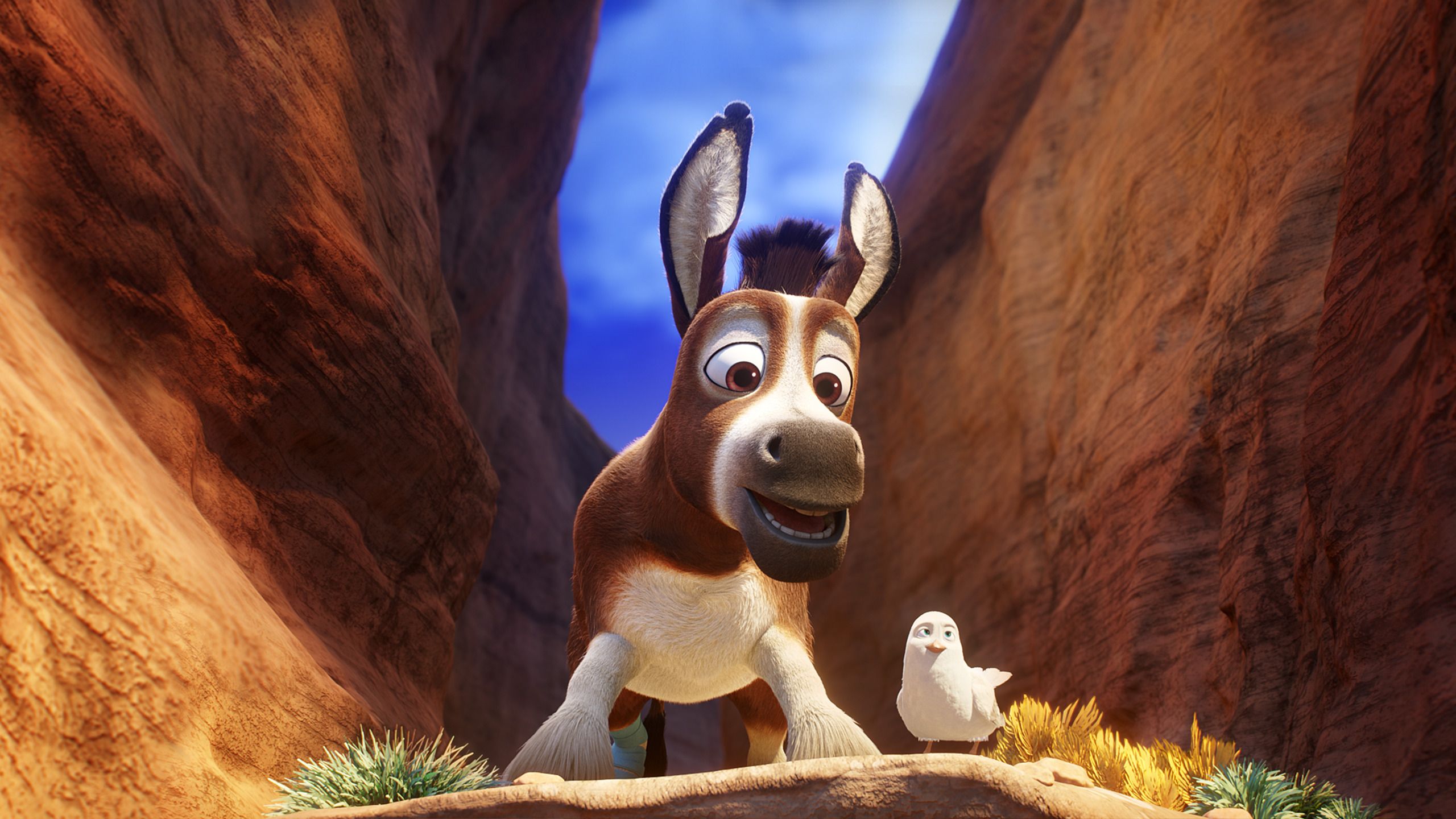 The Star | Movies Anywhere The Star | Movies Anywhere