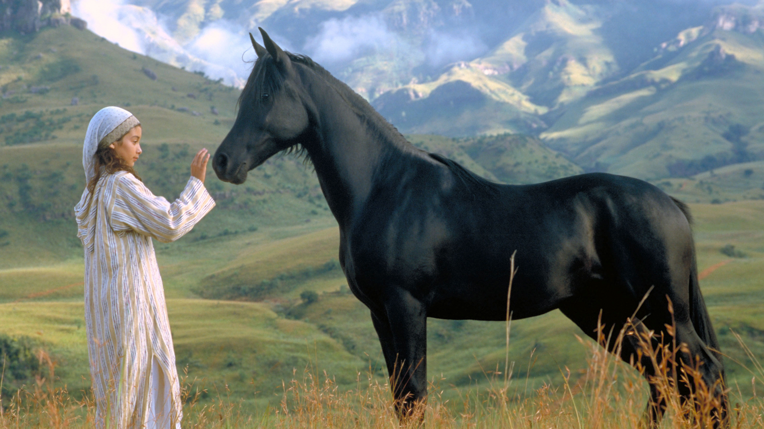 Про черного коня. Рожденный в Песках the young Black Stallion 2003.
