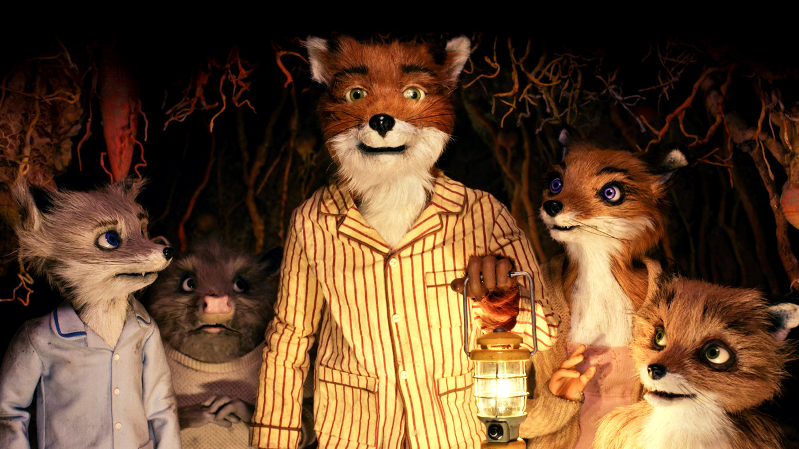 Noticed this while watching Fantastic Mr Fox yesterday  rcriterion