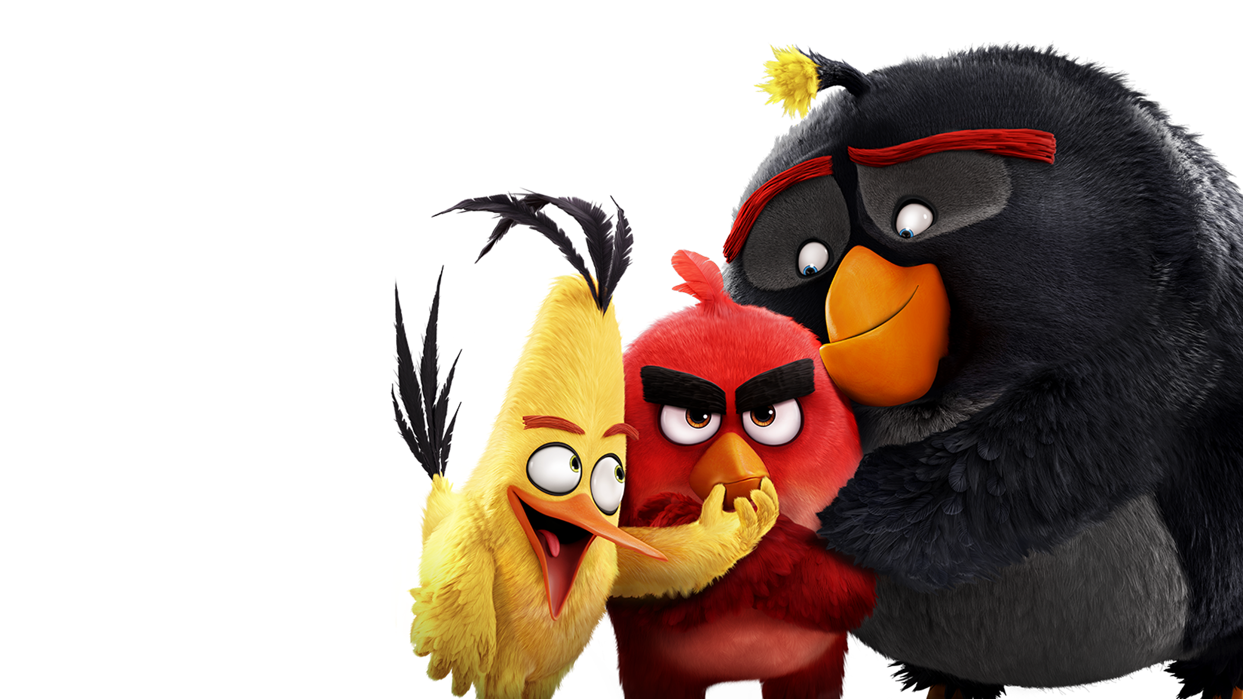 The Angry Birds Movie | Movies Anywhere The Angry Birds Movie | Movies Anywhere