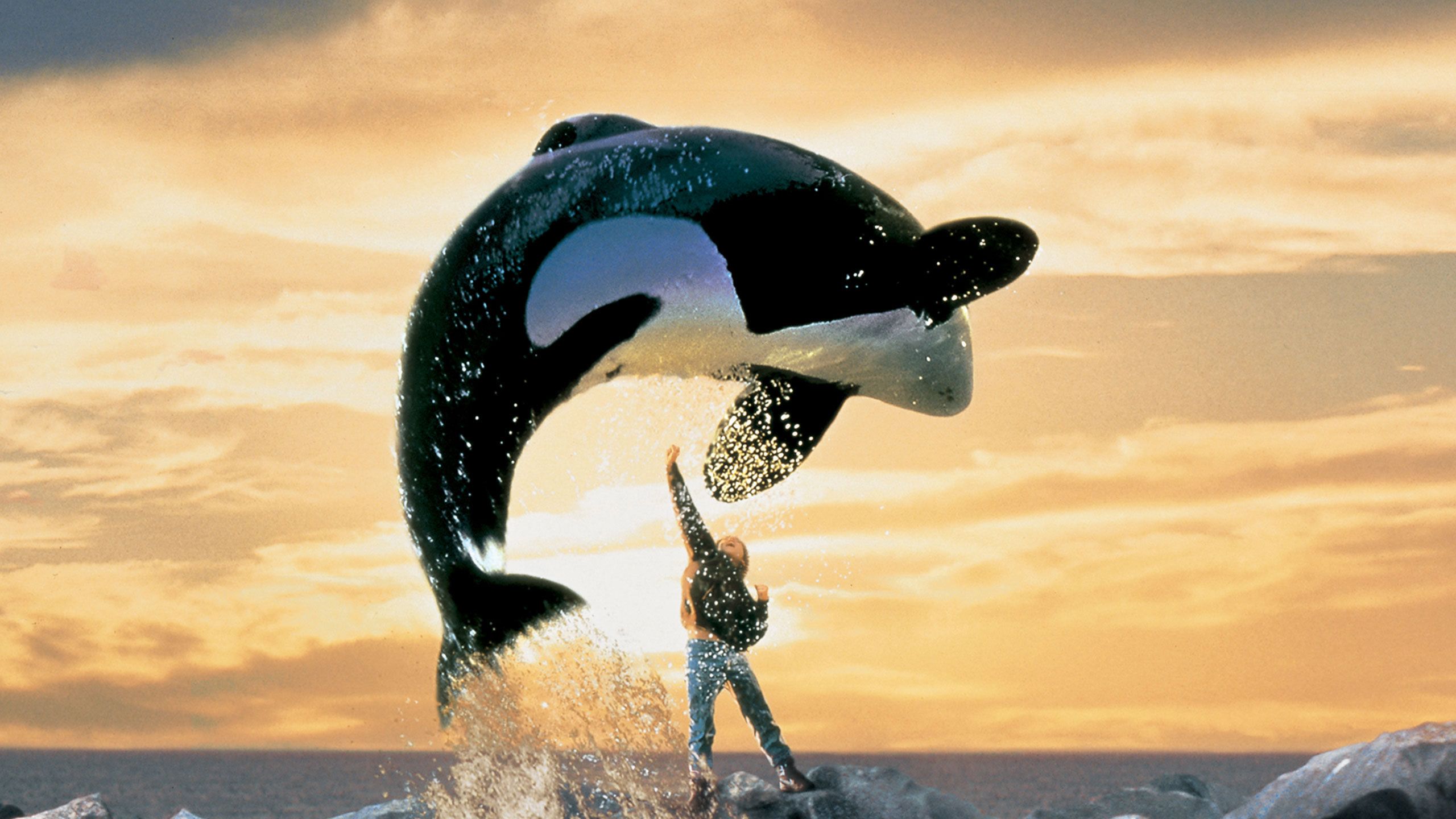 Free willy 2024 full movie dailymotion