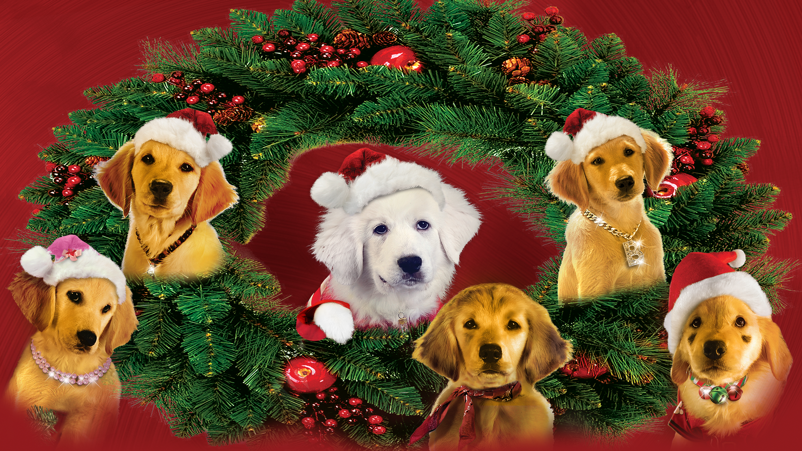 Santa Buddies | Movies Anywhere Santa Buddies | Movies Anywhere