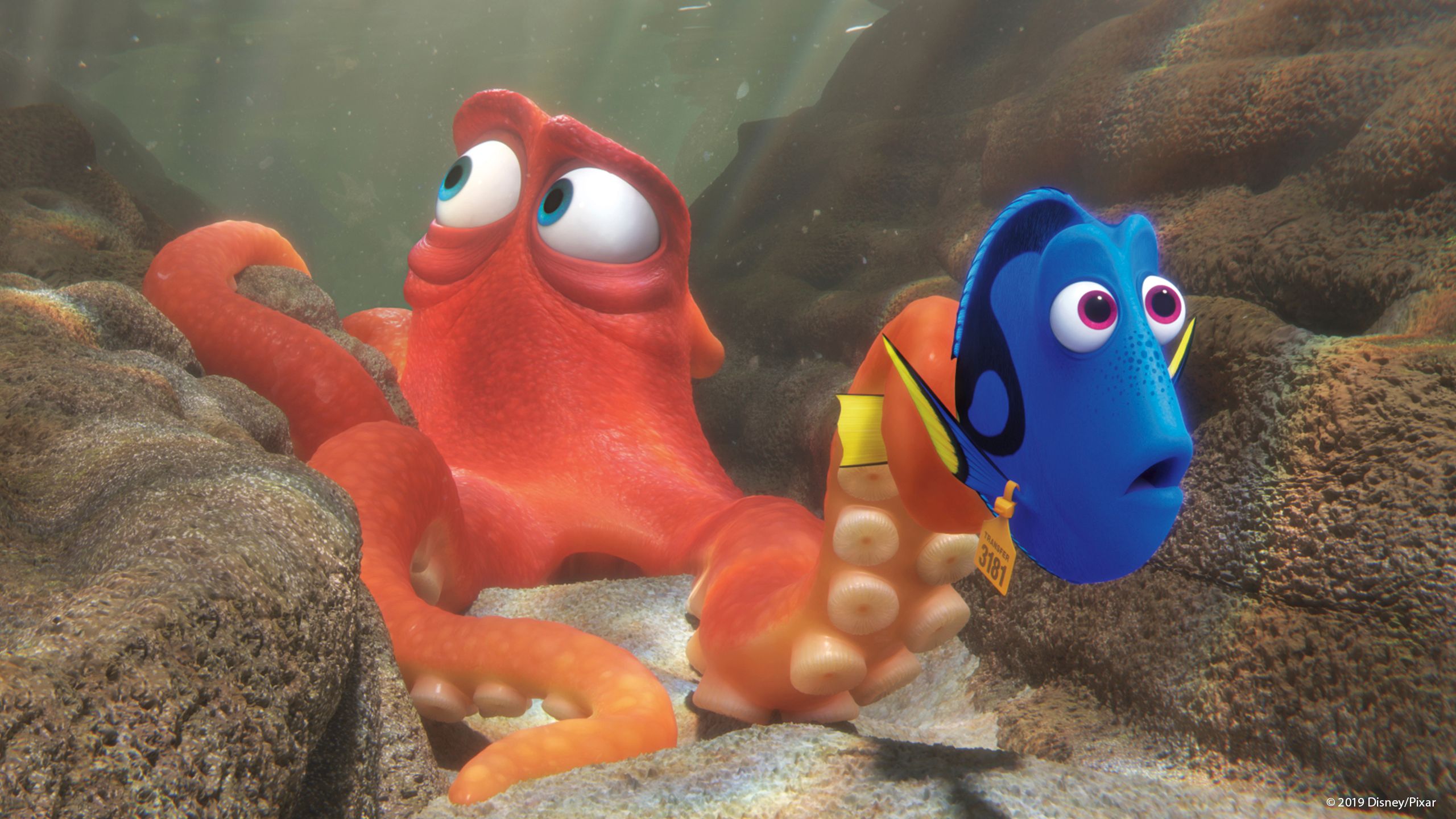 Finding Dory Full Movie Movies Anywhere