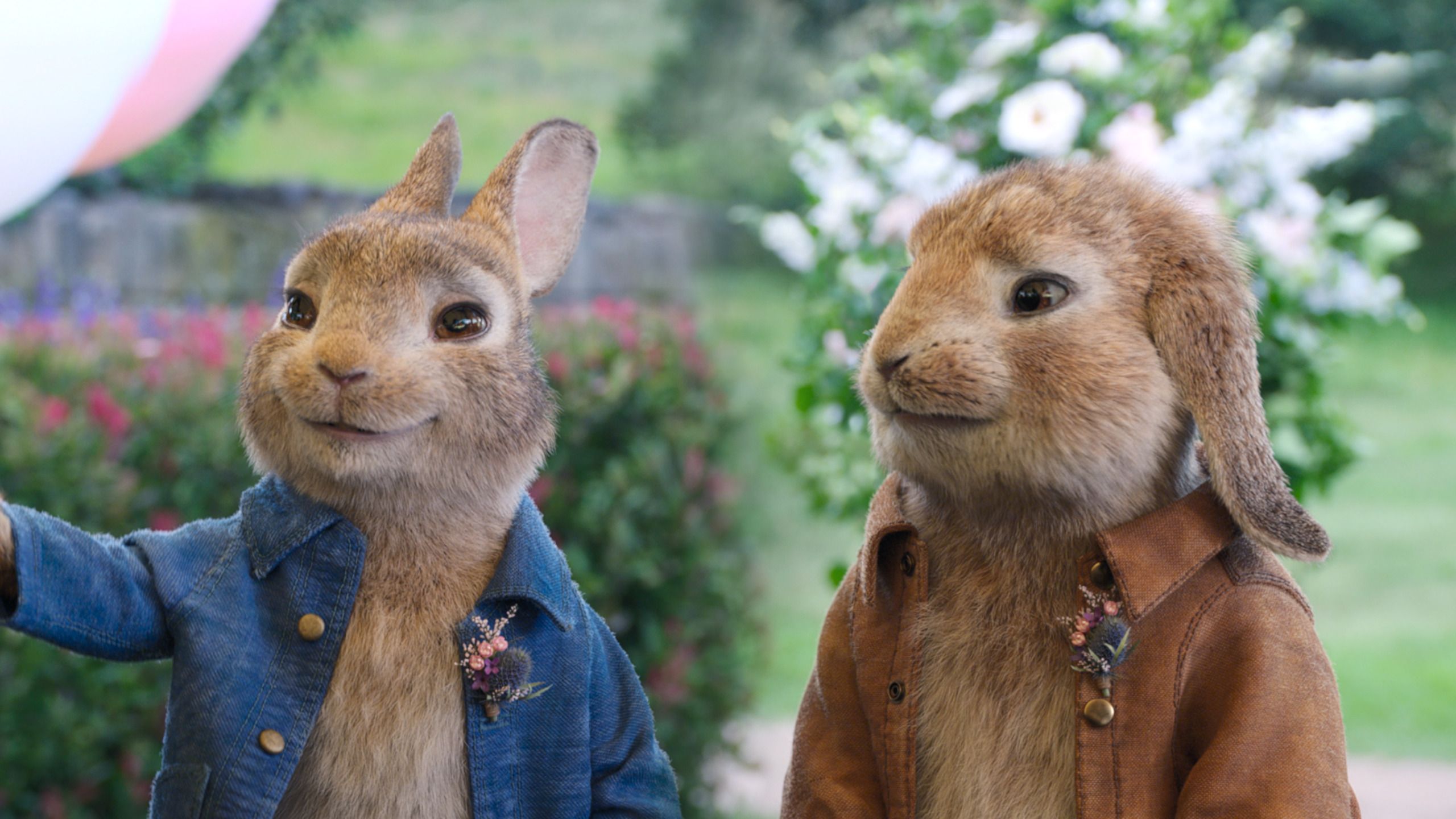 Peter Rabbit 2, Full Movie