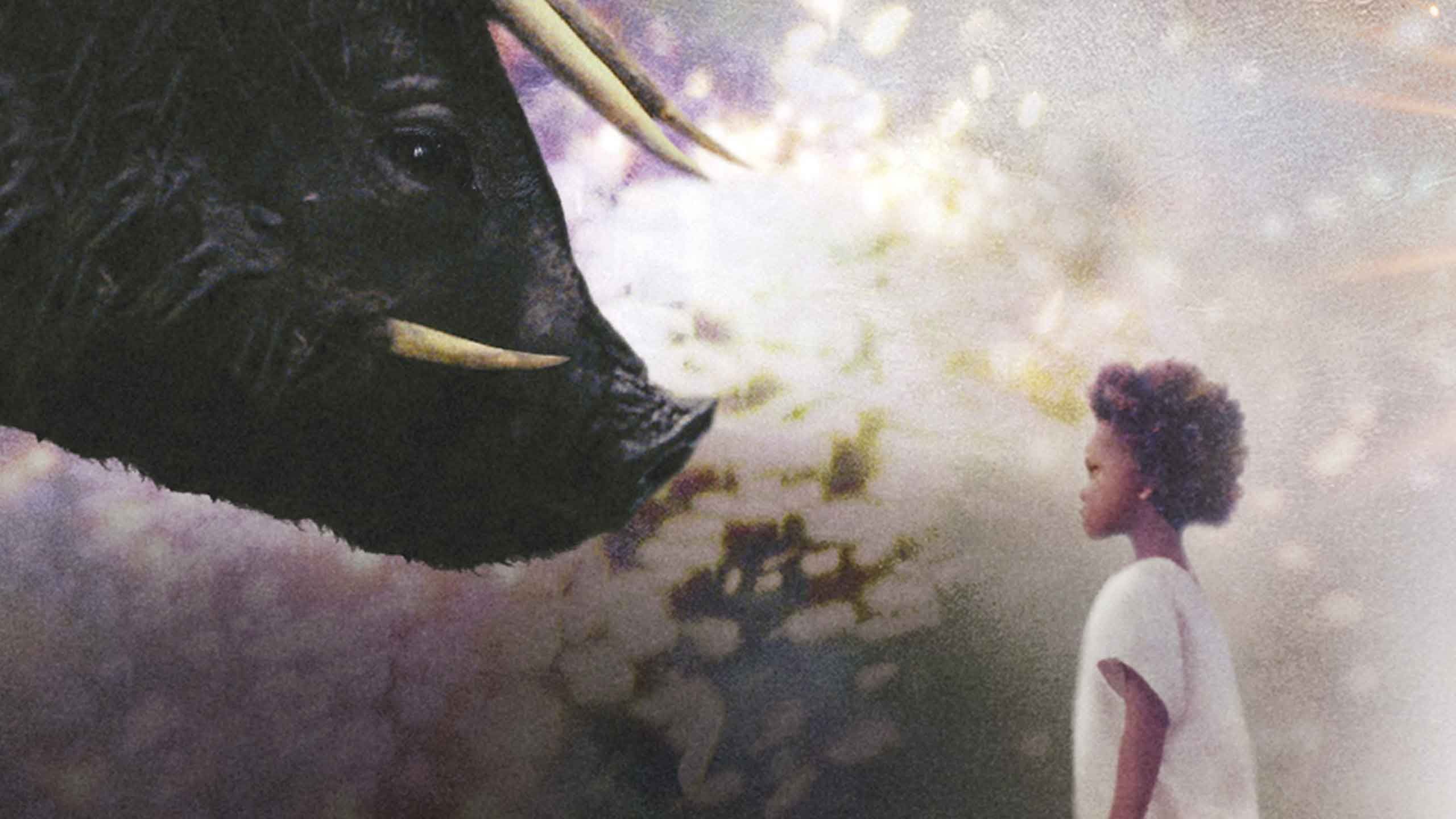 Beasts of the Southern Wild | Full Movie