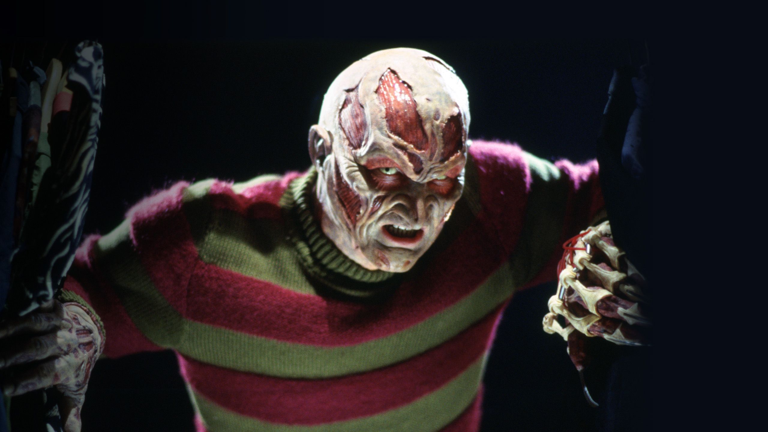 Pictures of Tracy Middendorf, Picture #250274 - Pictures Of Celebrities, image size:2560x1440