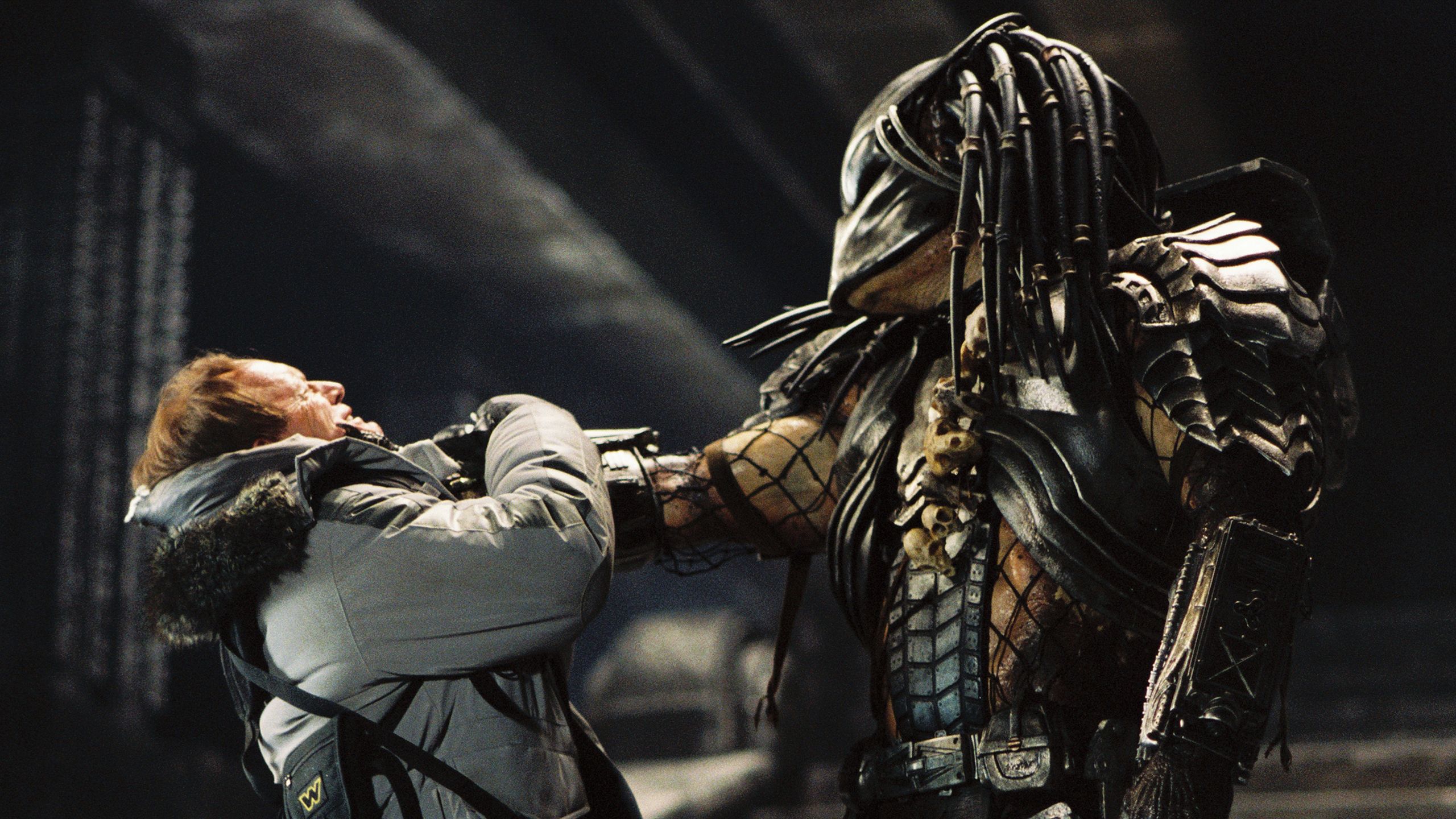 Aliens vs Predator [2560x1440] : r/wallpapers