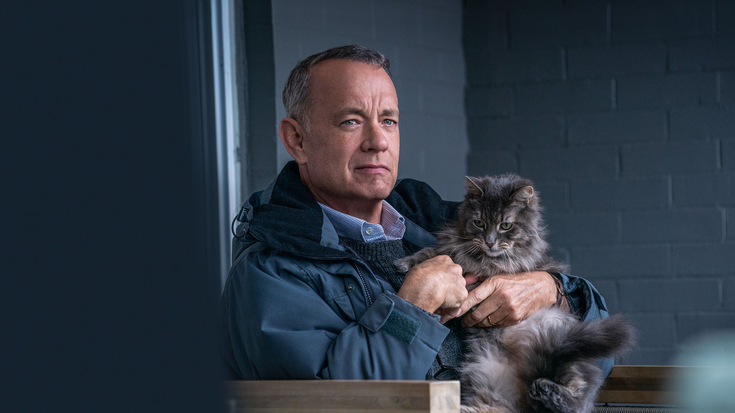 The First Trailer For “A Man Called Otto” Movie Indicates That Tom Hanks Has Moved Away from ...