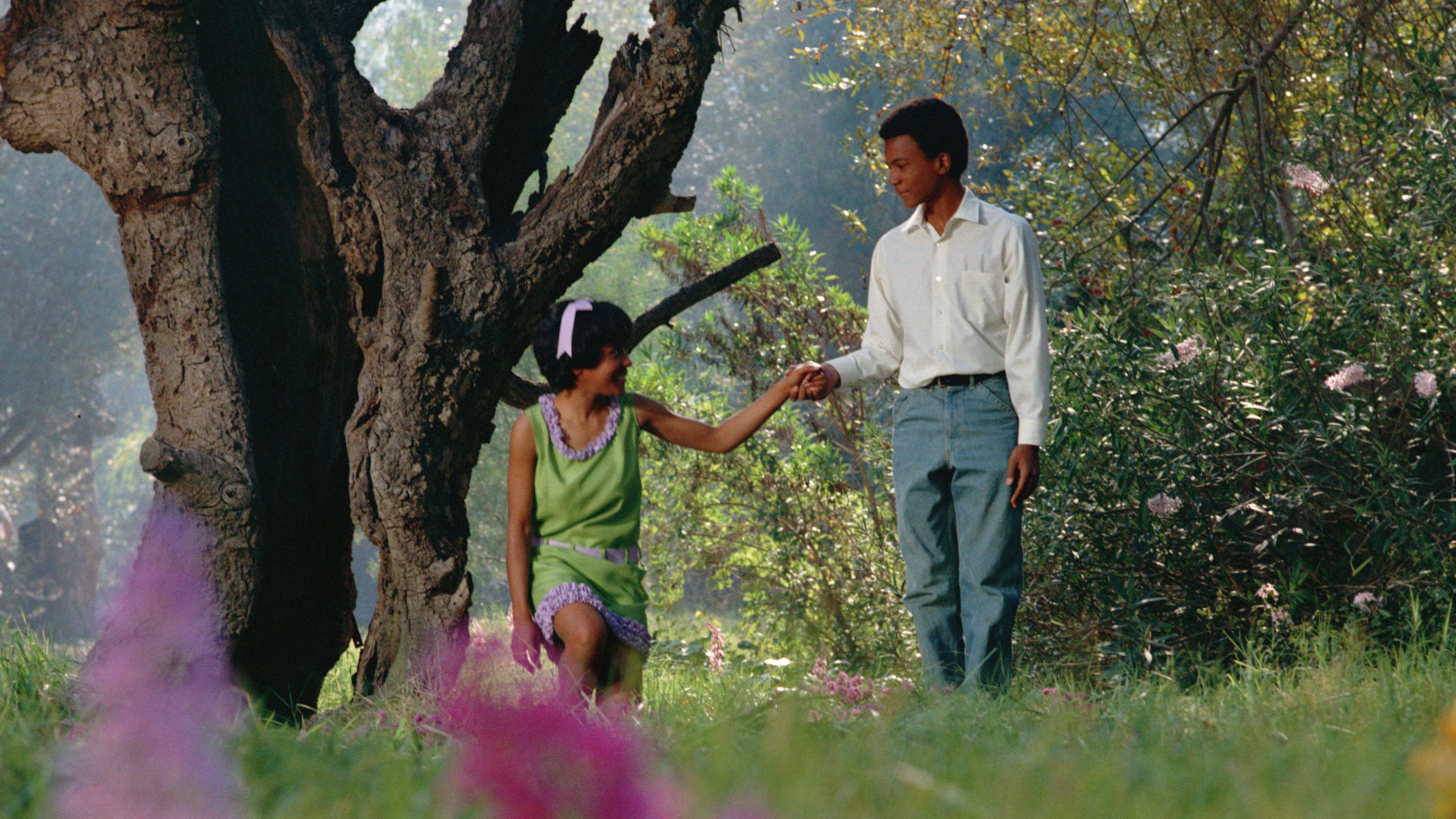 Learning Path Movie The Learning Tree | Full Movie | Movies Anywhere